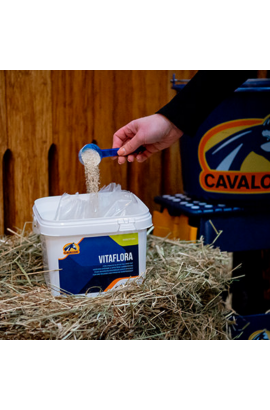 Vitaflora Cavalor 2 Kg