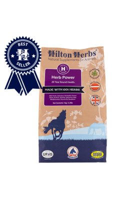Herb Power Hilton Herbs 1 Kg Bag