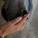SecureHorse Flash Signs 5 ml (10 sobres)