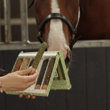 Sticks with Herbs (6 udes) - Candy Horse
