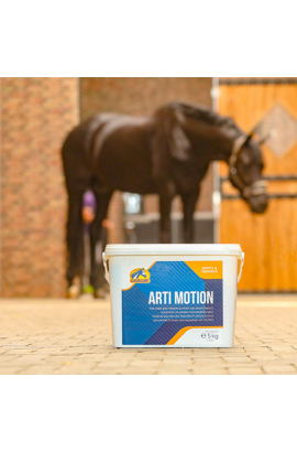 Arti Motion Cavalor 2 Kg