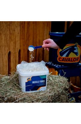 Muscle Force Cavalor
